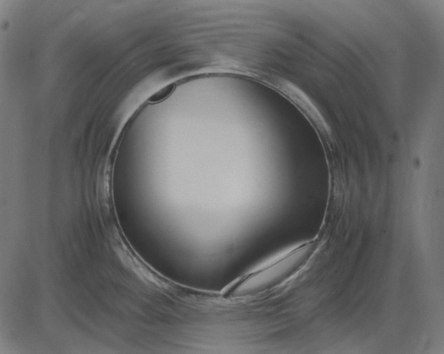 X0000082701292200702091713