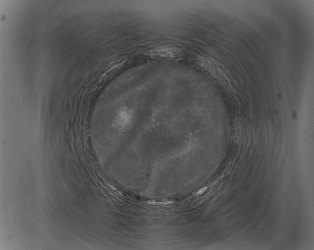 X0000082701297200702091712