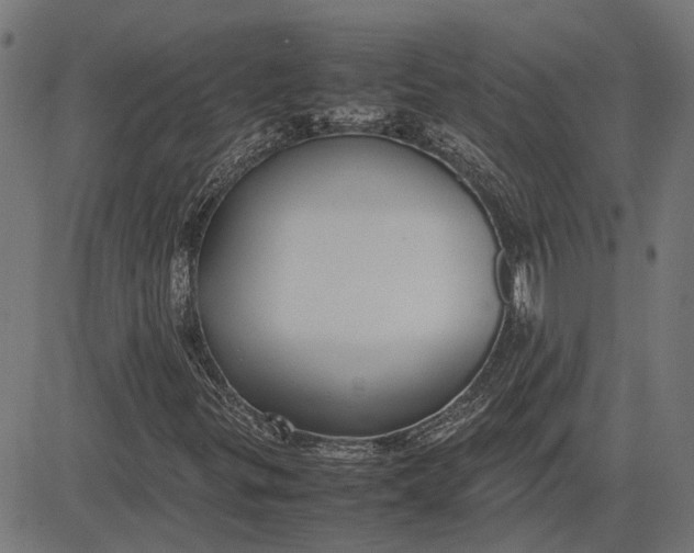 X0000082701299200702091712