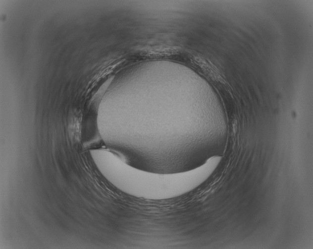 X0000082701300200702091712