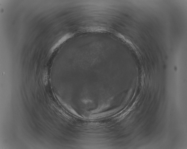 X0000082701306200702091712