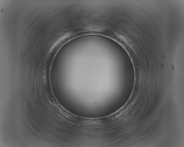 X0000082701307200702091712