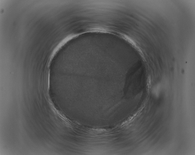 X0000082701323200702091713