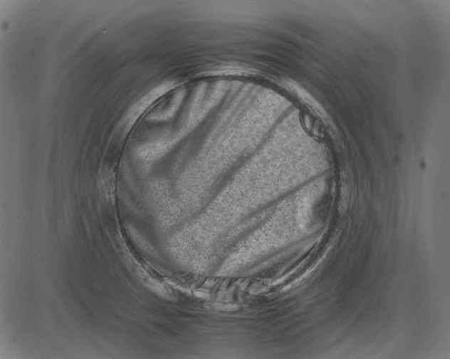 X0000082701329200702091713