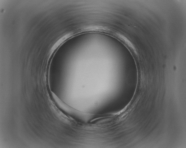 X0000082701330200702091713