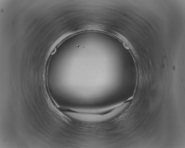 X0000082701339200702091713