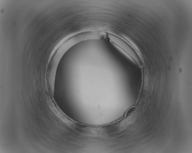 X0000082701340200702091713