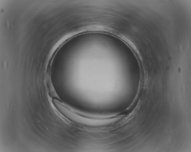 X0000082701342200702091713