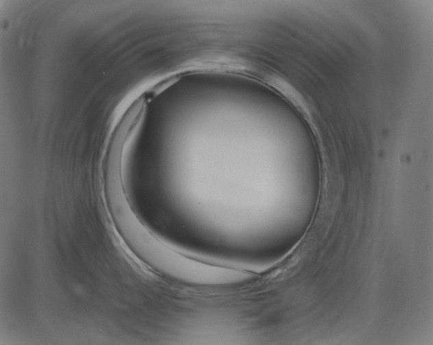 X0000082701344200702091713