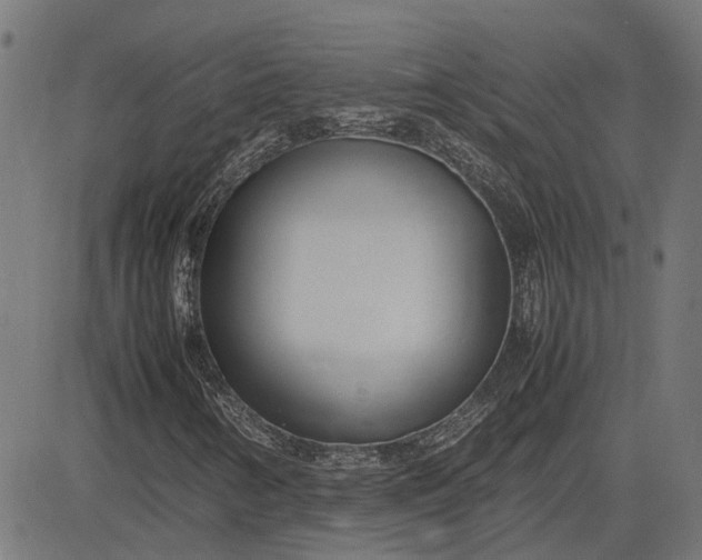 X0000082701346200702091712