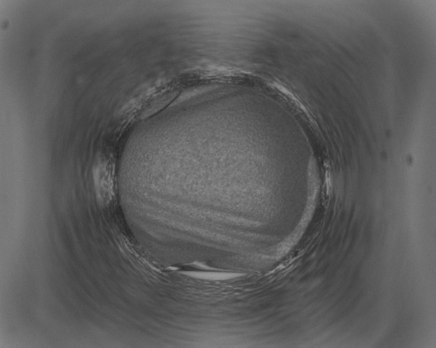 X0000082701348200702091712
