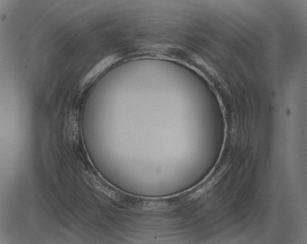 X0000082701354200702091712