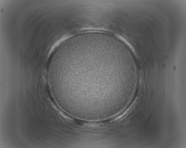 X0000082701357200702091712