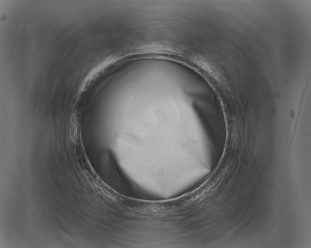 X0000082701358200702091712
