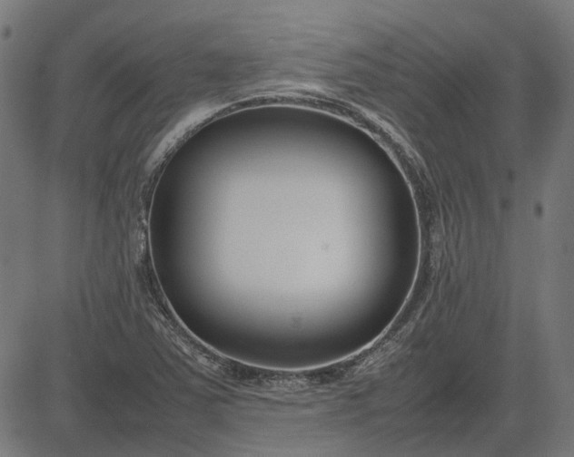 X0000082701363200702091712