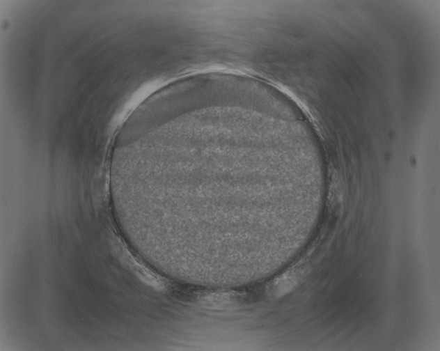 X0000082701367200702091712