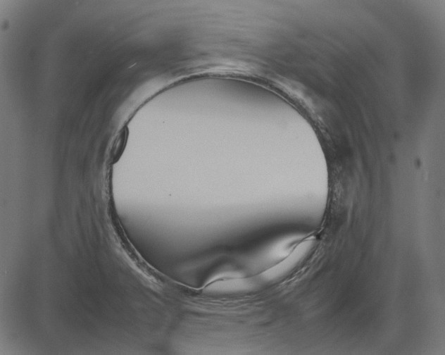 X0000082701375200702091712