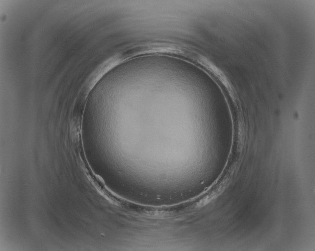 X0000082701377200702091712