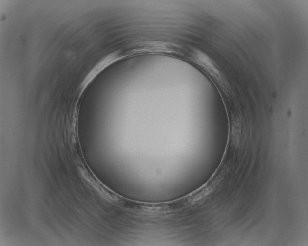 X0000082701378200702091712