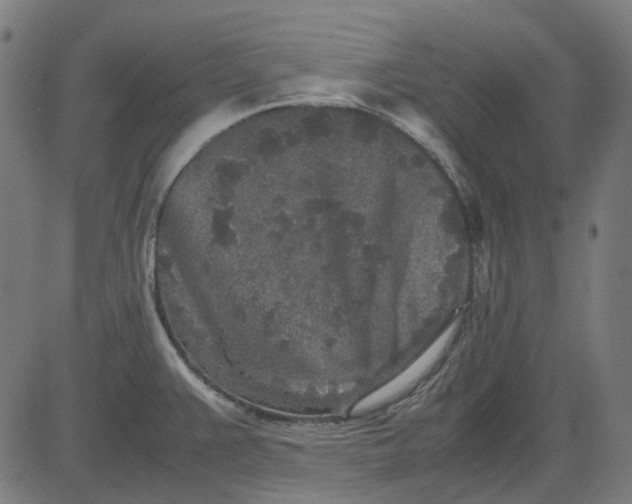 X0000082701383200702091712