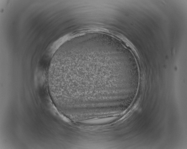 X0000082701385200702091712