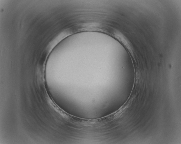 X0000082701386200702091711