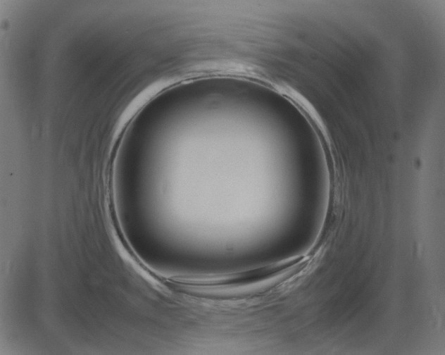 X0000082701389200702091711
