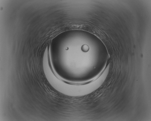 X0000082701394200702091711