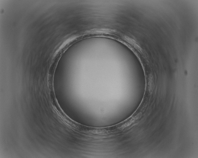 X0000082701404200702091711