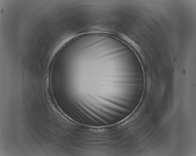 X0000082701415200702091711