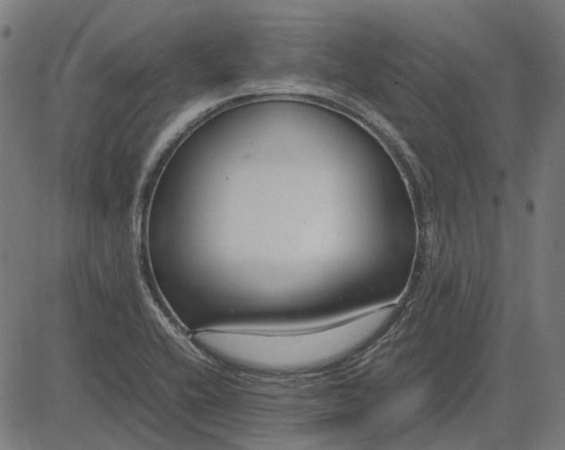 X0000082701416200702091711