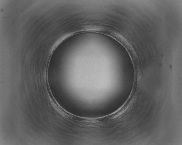 X0000082701417200702091711