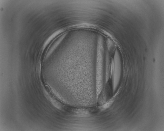 X0000082701418200702091711