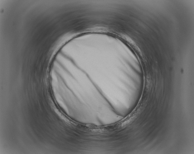 X0000082701421200702091711