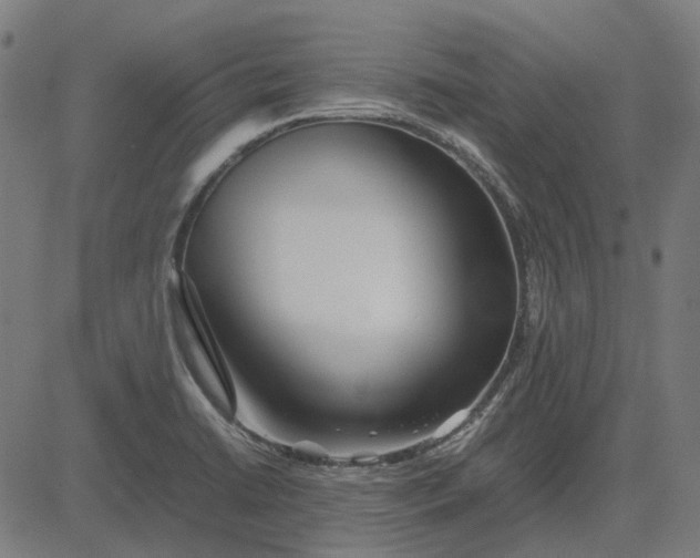 X0000082701422200702091711