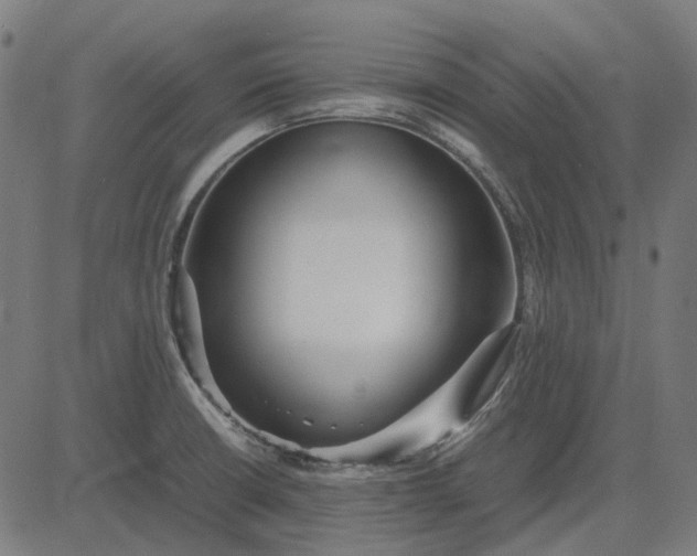 X0000082701426200702091711
