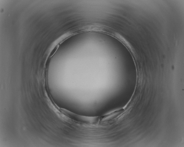 X0000082701434200702091711