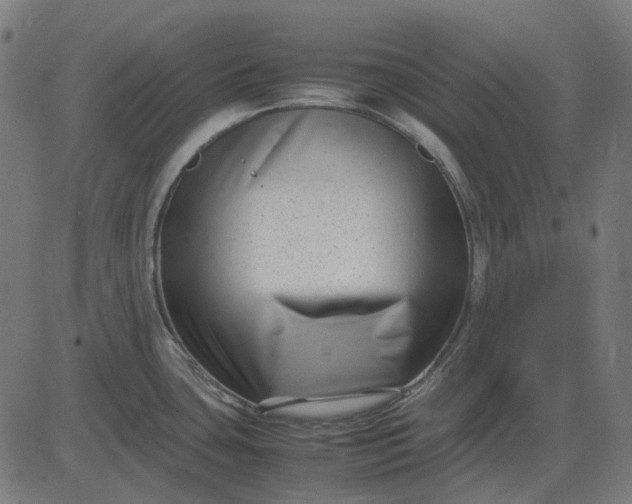 X0000082701435200702091711