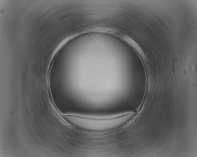 X0000082701436200702091711