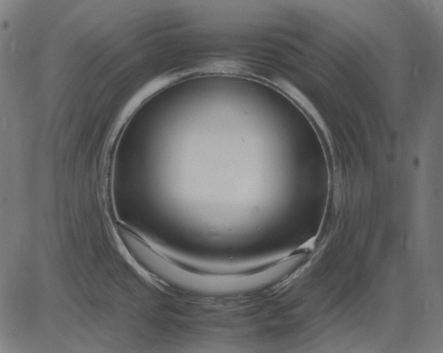 X0000082701437200702091711