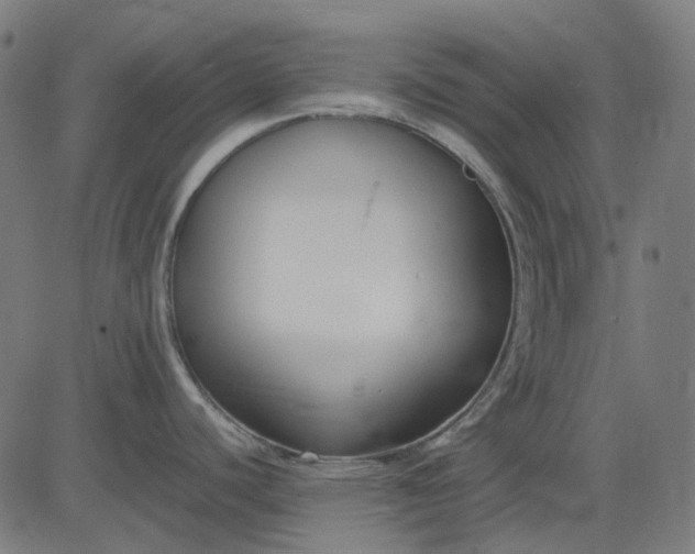 X0000082701440200702091711