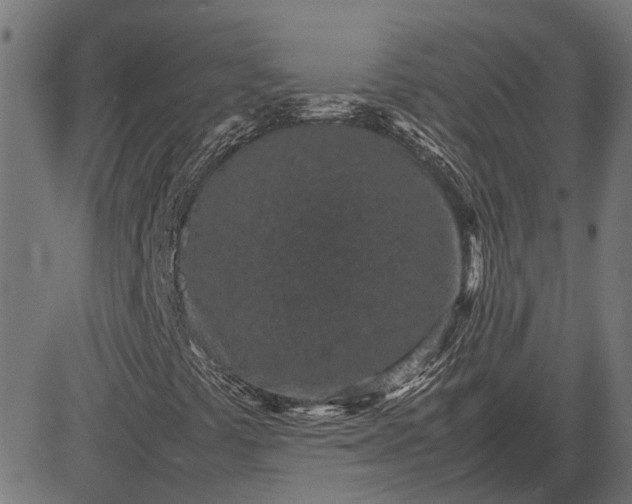 X0000082701441200702091711