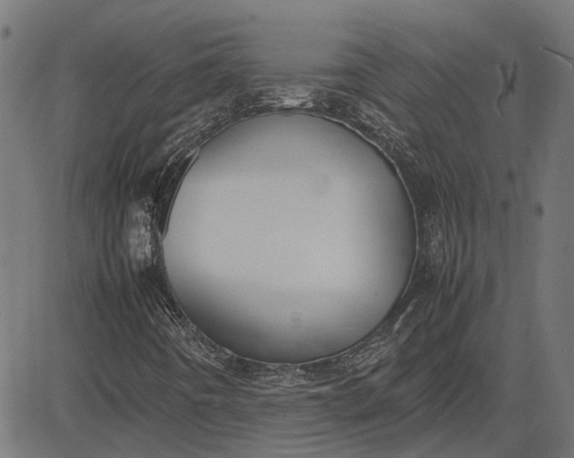 X0000082701442200702091711