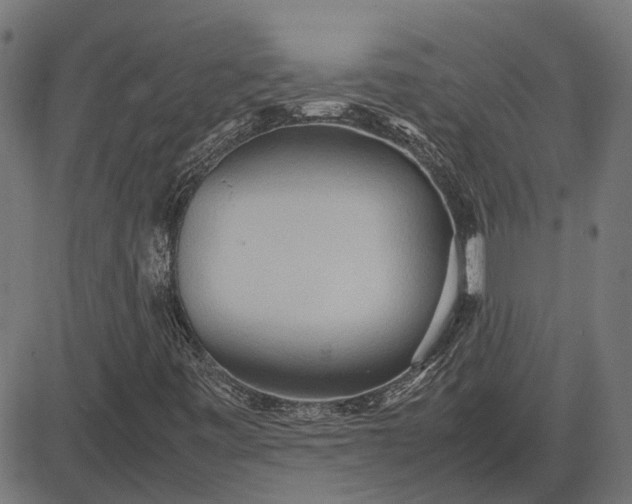 X0000082701443200702091711