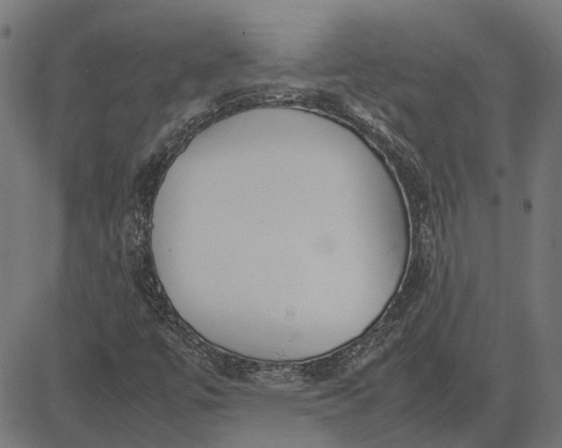 X0000082701447200702091710