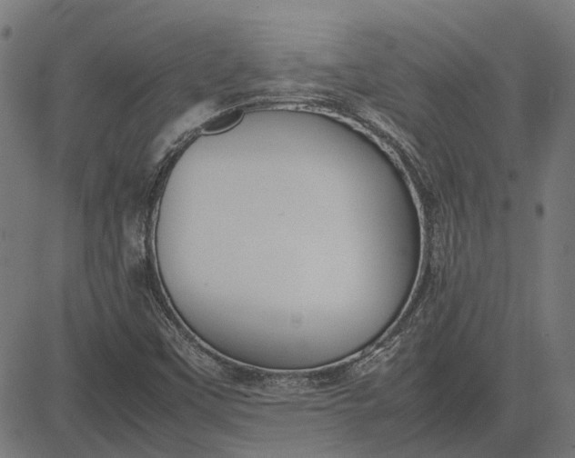X0000082701451200702091710