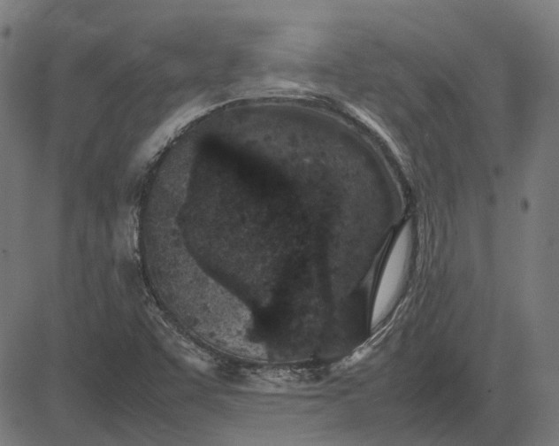 X0000082701455200702091710