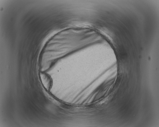 X0000082701471200702091710