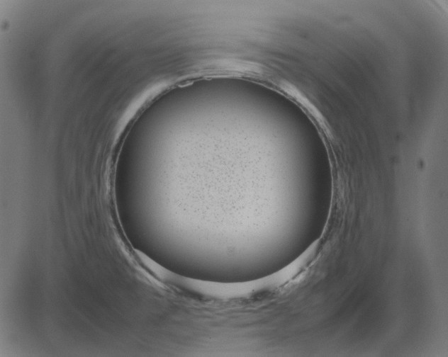 X0000082701477200702091710