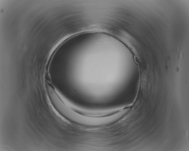 X0000082701484200702091710